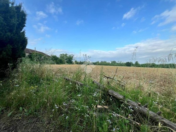 terreno agricolo in vendita a Novi Ligure