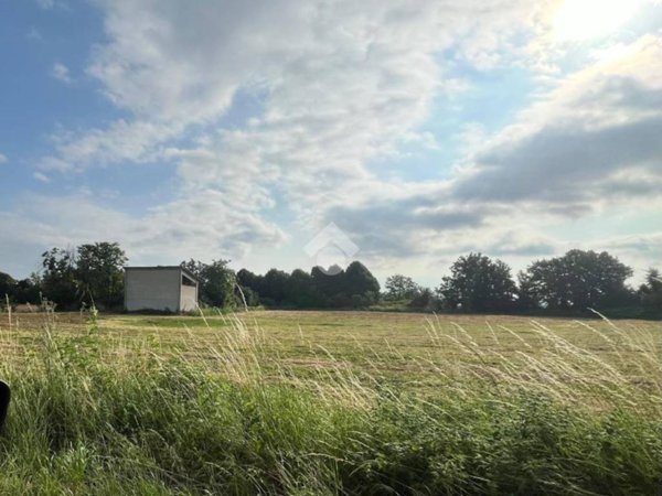 terreno agricolo in vendita a Novi Ligure