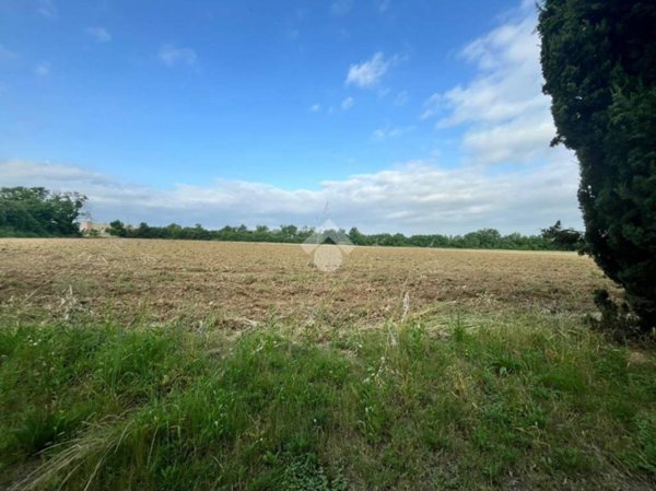terreno agricolo in vendita a Novi Ligure in zona Merella