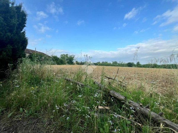 terreno agricolo in vendita a Novi Ligure in zona Merella