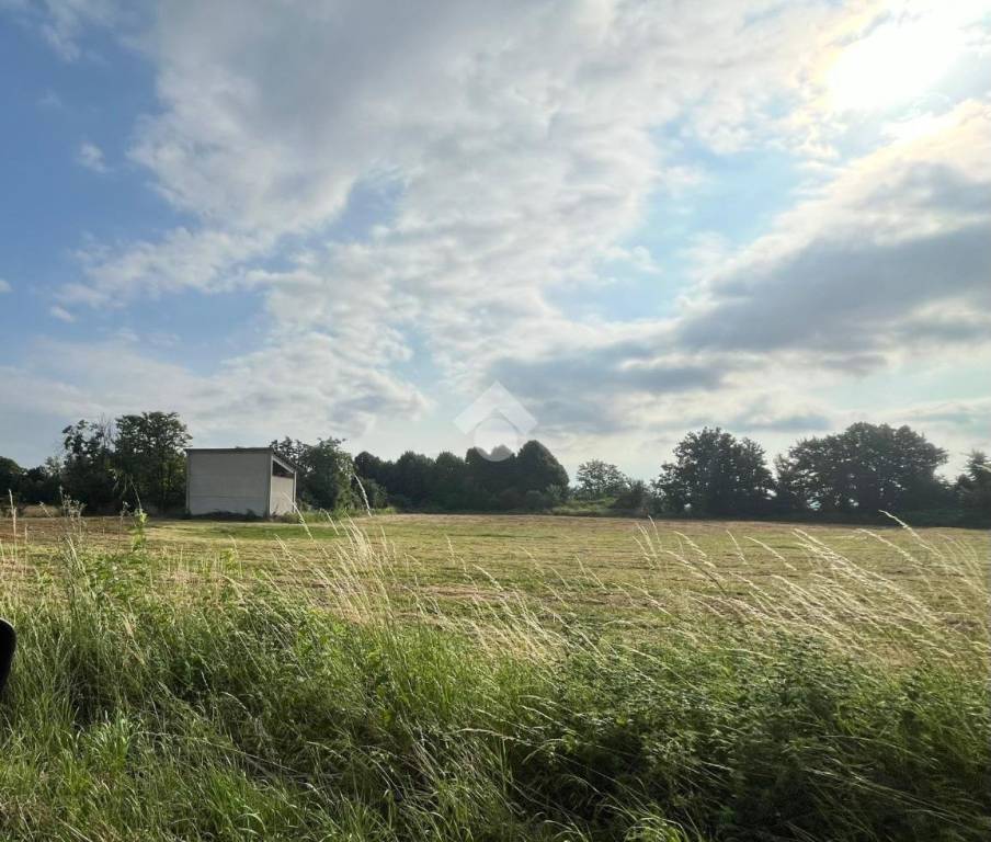 terreno agricolo in vendita a Novi Ligure in zona Merella