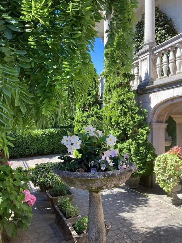 casa indipendente in vendita a Novi Ligure