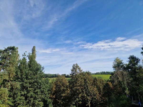 appartamento in vendita a Novi Ligure