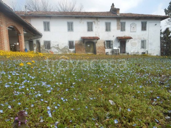 terreno agricolo in vendita ad Odalengo Grande