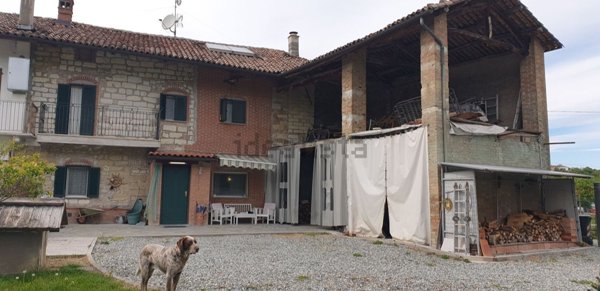 pentavano in vendita ad Odalengo Grande