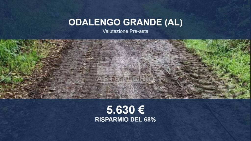terreno agricolo in vendita ad Odalengo Grande