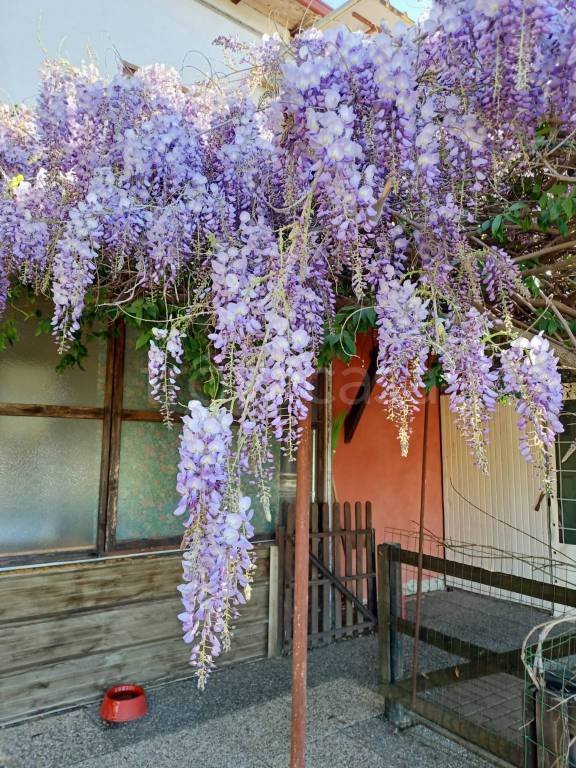 casa indipendente in vendita ad Olivola