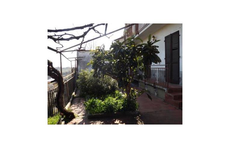 casa indipendente in vendita ad Ottiglio