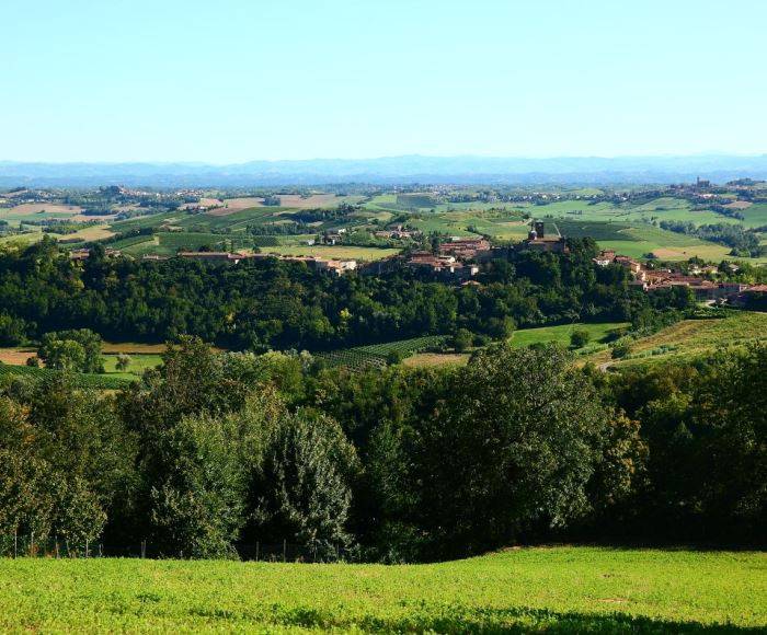 terreno agricolo in vendita ad Ottiglio in zona Moleto