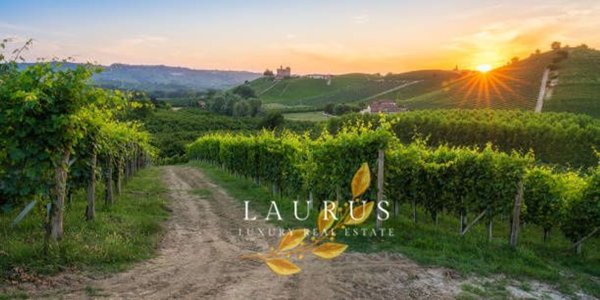 casa indipendente in vendita ad Ottiglio