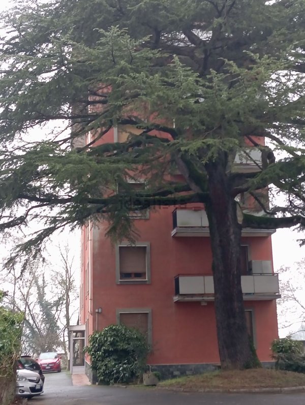 appartamento in vendita ad Ovada