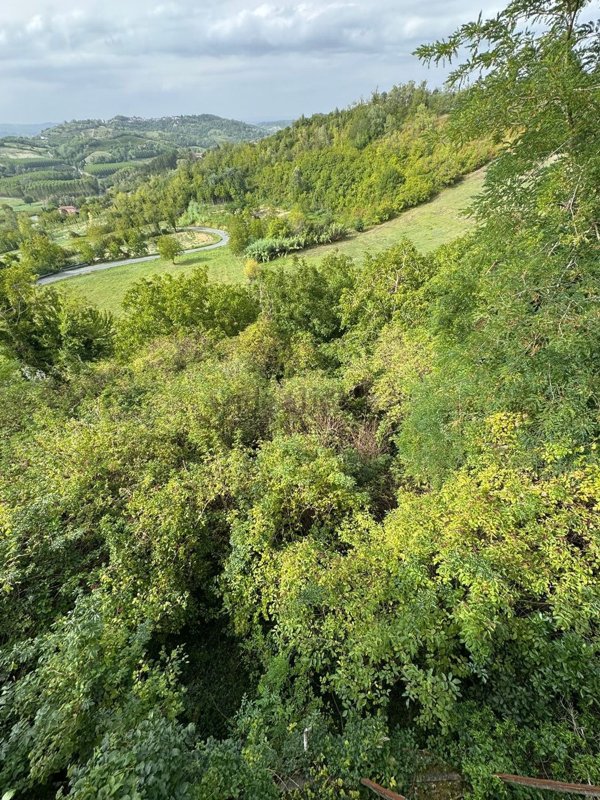casa indipendente in vendita ad Ovada