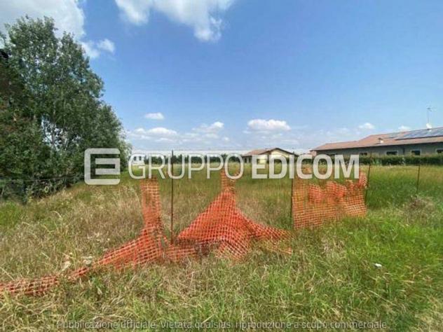 terreno agricolo in vendita ad Oviglio