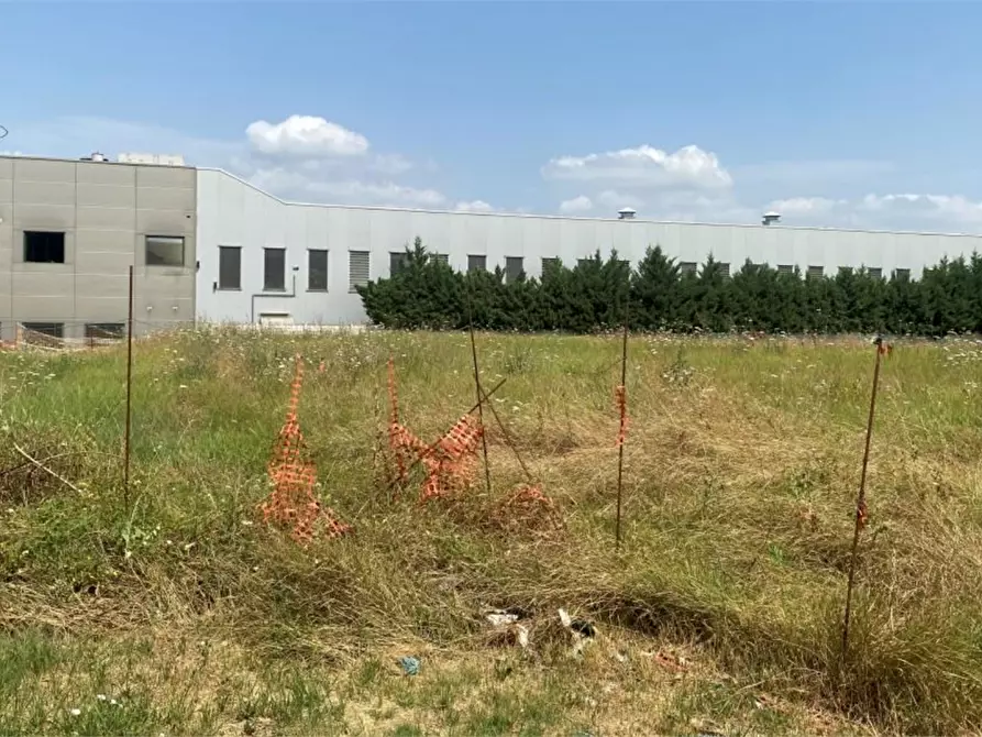 terreno agricolo in vendita ad Oviglio