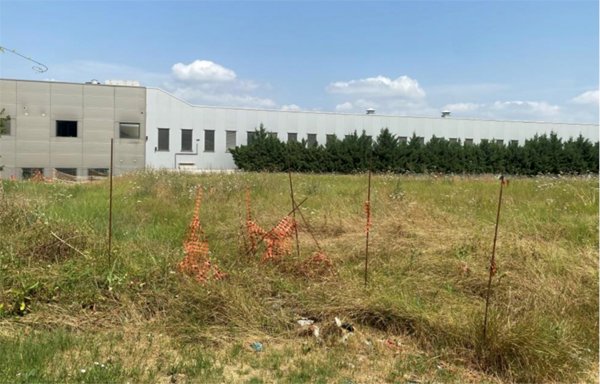 terreno agricolo in vendita ad Oviglio