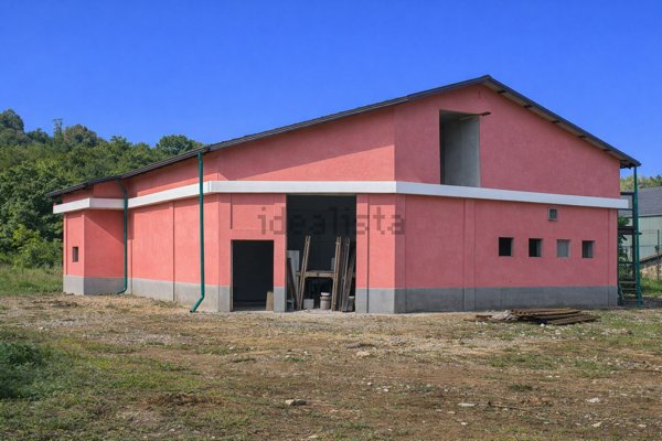 immagine annuncio 0 di 1