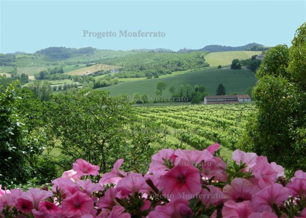 casa indipendente in vendita ad Ozzano Monferrato