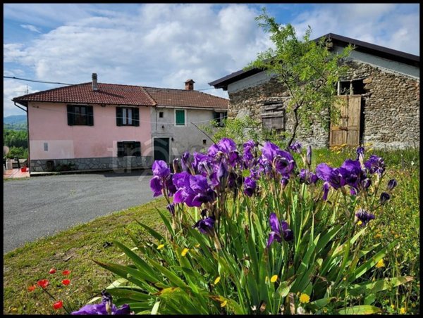 casa indipendente in vendita a Pareto