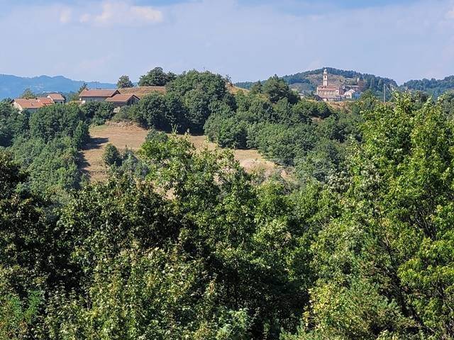 casa indipendente in vendita a Pareto