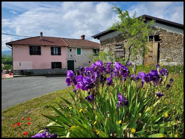 casa indipendente in vendita a Pareto