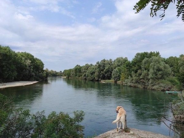 appartamento in vendita a Boffalora d'Adda