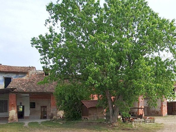casa indipendente in vendita a Borghetto Lodigiano