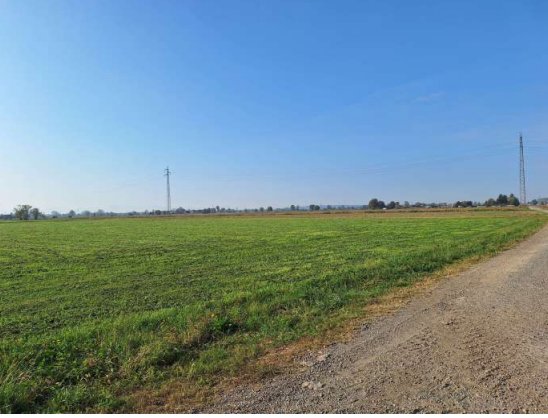 terreno agricolo in vendita a Brembio