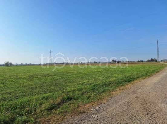 terreno agricolo in vendita a Brembio