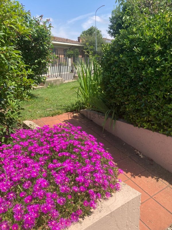 casa indipendente in vendita a Casalpusterlengo