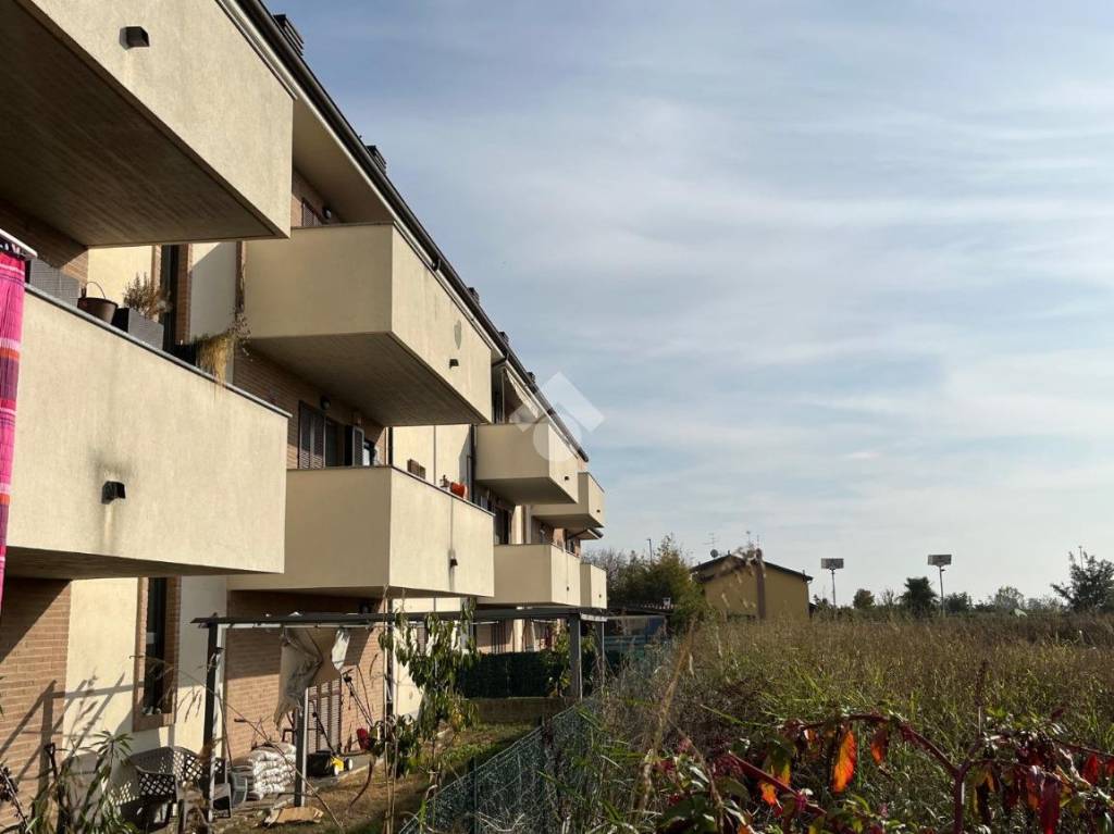 immagine annuncio 0 di 15