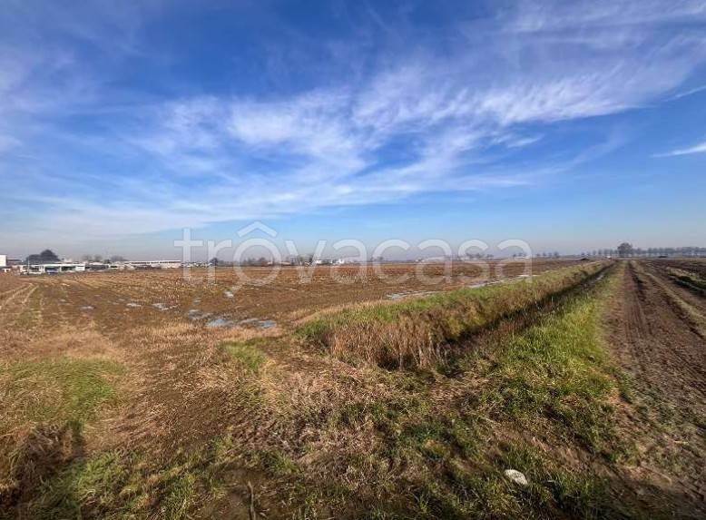 terreno agricolo in vendita a Castiglione d'Adda