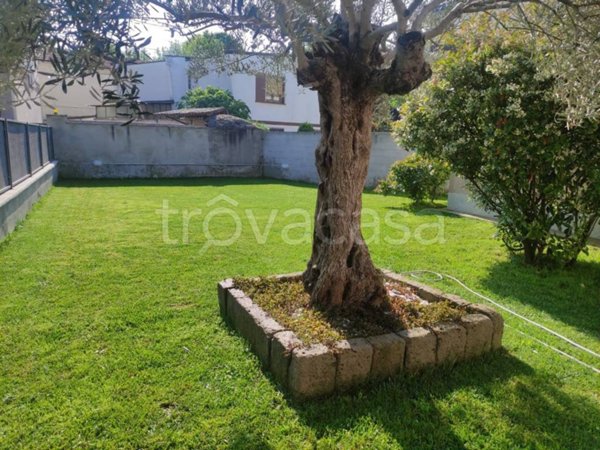 casa indipendente in vendita a Castiglione d'Adda