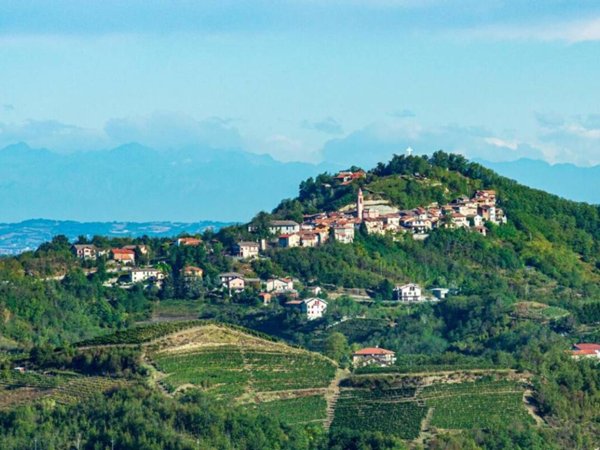 terreno agricolo in vendita a Parodi Ligure