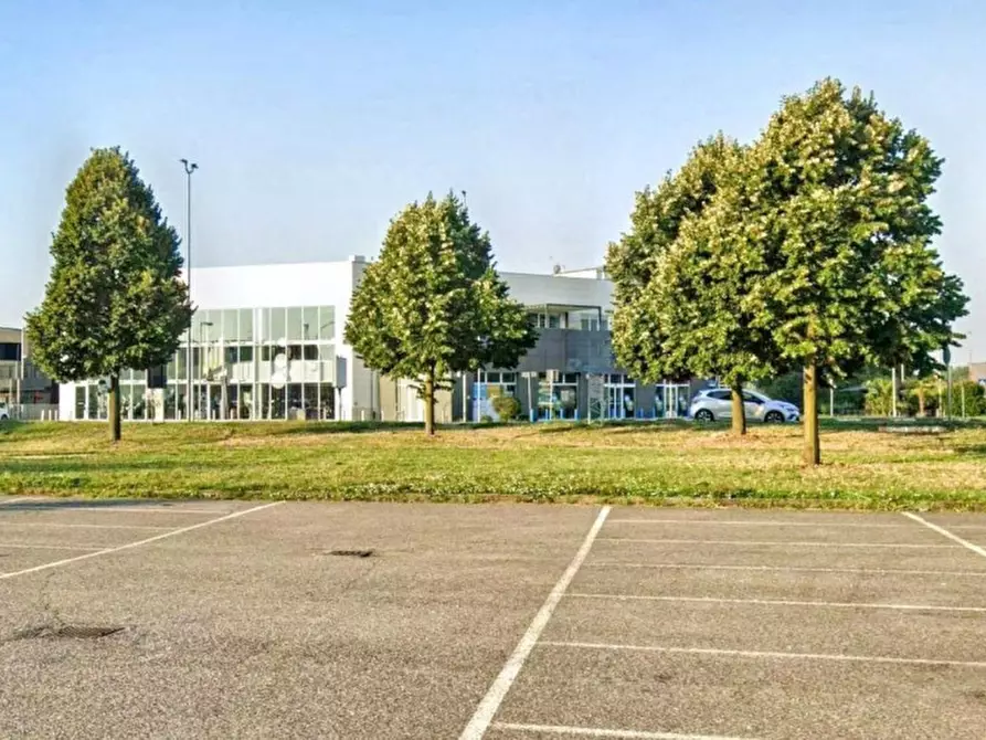 negozio in vendita a Codogno