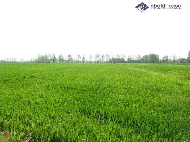 terreno edificabile in affitto a Cornegliano Laudense