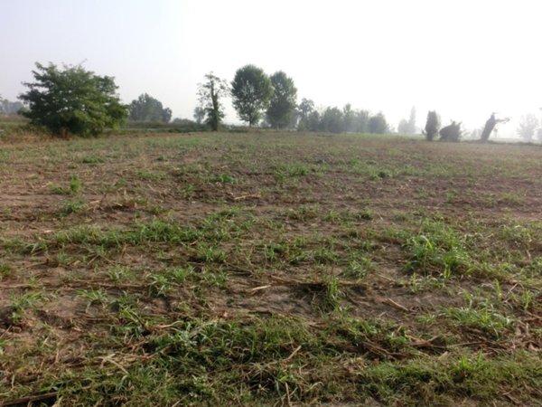 terreno agricolo in vendita a Crespiatica