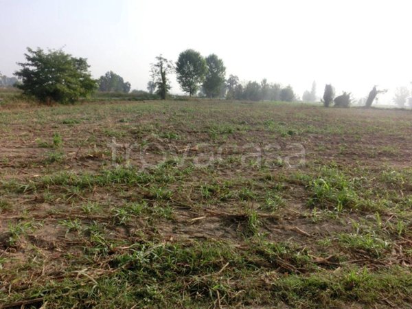 terreno agricolo in vendita a Crespiatica