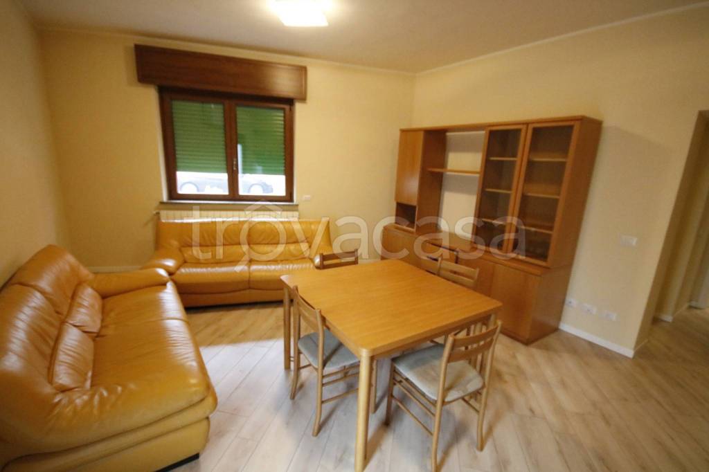 immagine annuncio 0 di 15