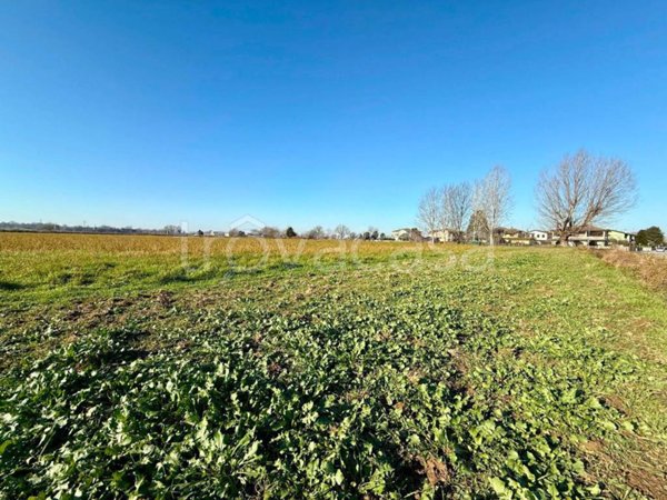 terreno agricolo in vendita a Graffignana
