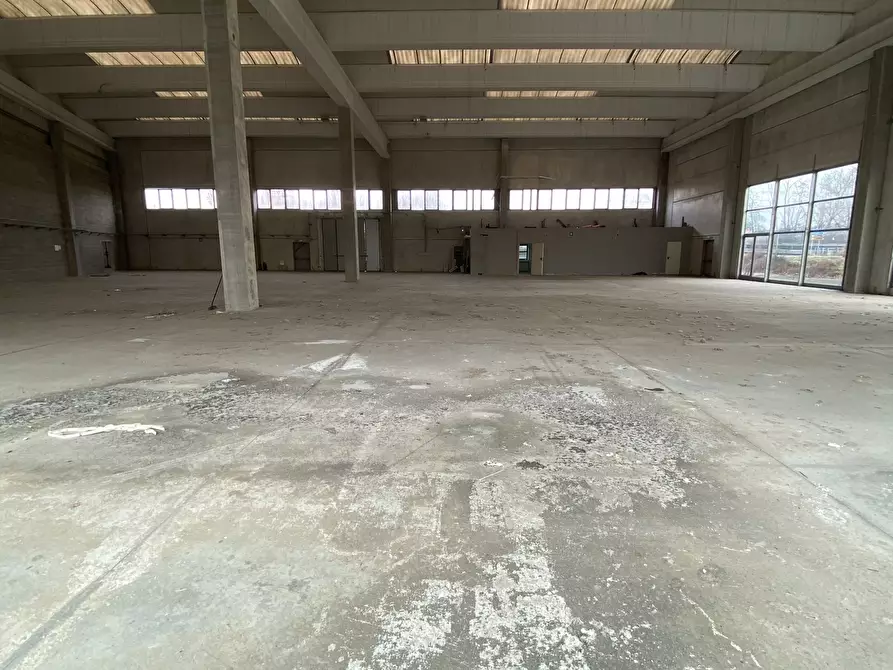 capannone in vendita a Guardamiglio