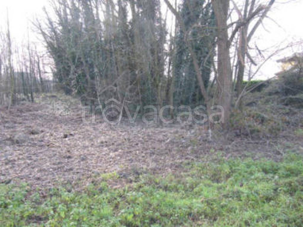 terreno edificabile in vendita a Guardamiglio