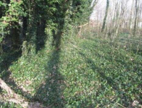 terreno edificabile in vendita a Guardamiglio