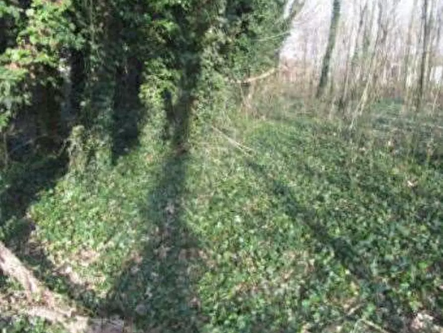 terreno edificabile in vendita a Guardamiglio
