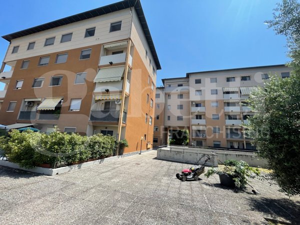 immagine annuncio 0 di 10
