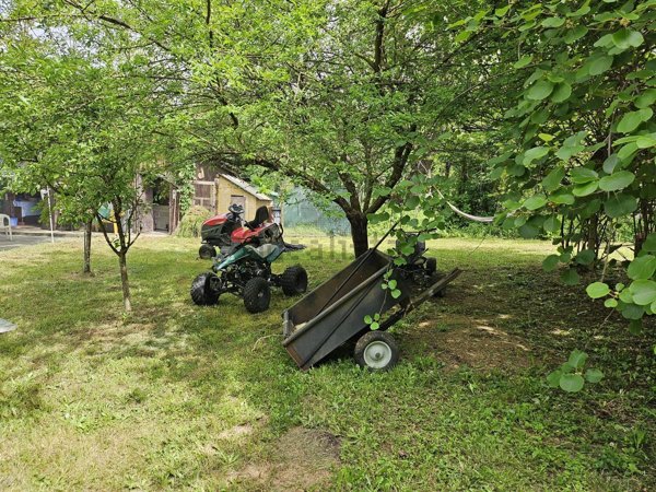 terreno agricolo in vendita a Pasturana