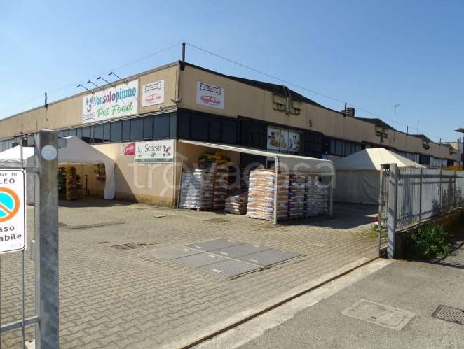 locale commerciale in vendita a Maleo