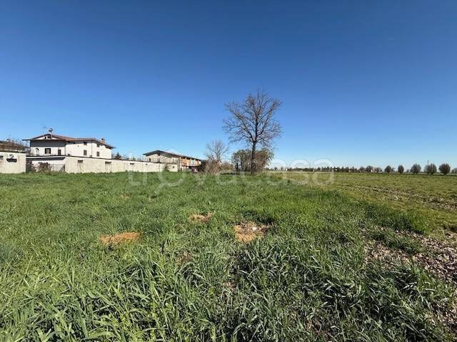 terreno agricolo in vendita a San Fiorano