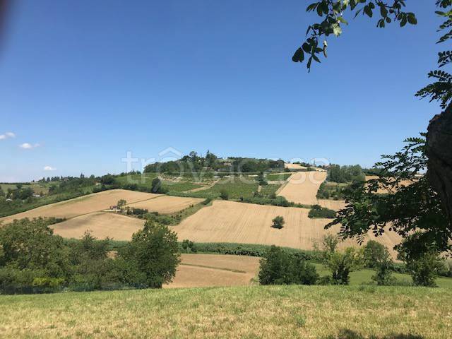 terreno agricolo in vendita a Pecetto di Valenza