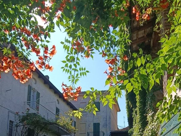 casa indipendente in vendita a Pecetto di Valenza