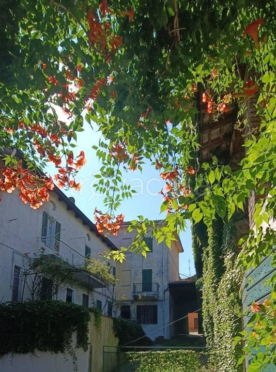 casa indipendente in vendita a Pecetto di Valenza